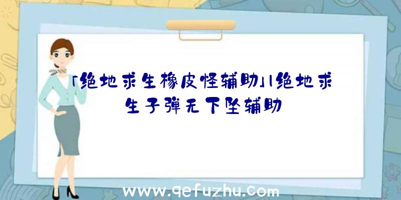 「绝地求生橡皮怪辅助」|绝地求生子弹无下坠辅助